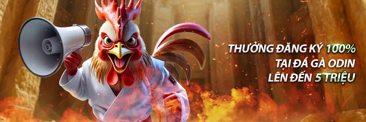 Hoàn trả hàng ngày tại tr88