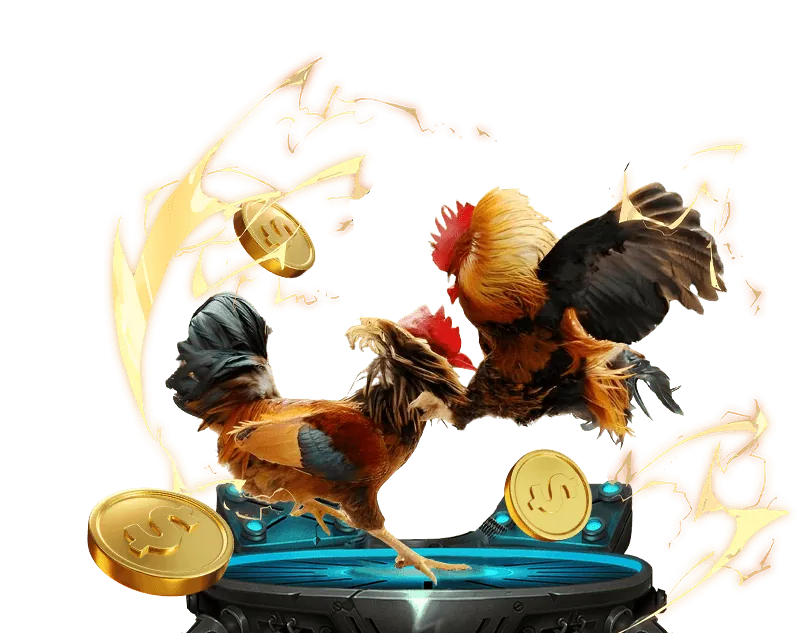 Biểu tượng Email Hỗ Trợ